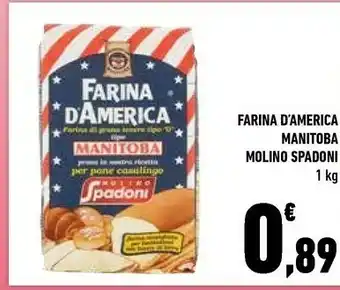 Conad Molino Spadoni Farina D'america Manitoba offerta
