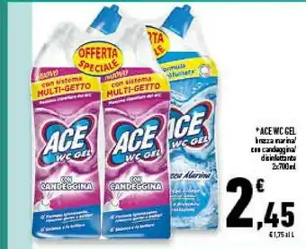 Conad Superstore Ace Wc Gel Con Candeggina offerta