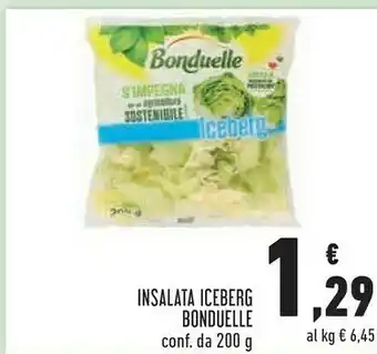 Conad Bonduelle Iceberg offerta