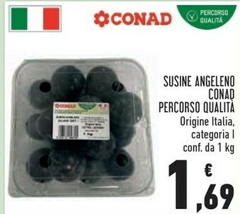 Conad Susine Angeleno offerta