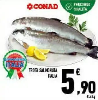Conad Superstore Trota Salmomata Ialia offerta