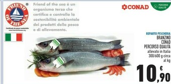 Conad Superstore Conad Branzino Percorso Qualita offerta