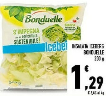 Conad Bonduelle Insalata Iceberg offerta
