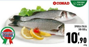 Conad Spigola Italia offerta