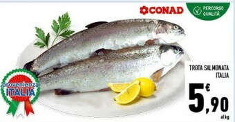 Conad Trota Salmonata Italia offerta
