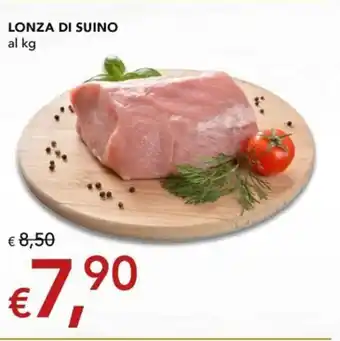 Migross Superstore LONZA DI SUINO offerta