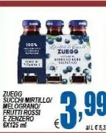 DEM Zuegg Frutti Rossi E Melograno 250 G(ml) offerta