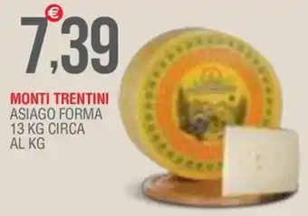 MONTI TRENTINI ASIAGO FORMA 13 KG CIRCA AL KG