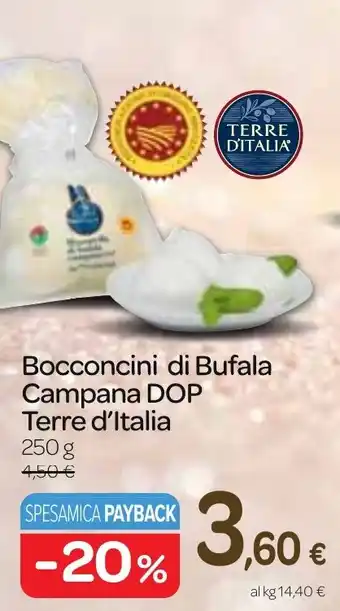 Carrefour Express Bocconcini di Bufala Campana DOP Terre d'Italia 250 g offerta