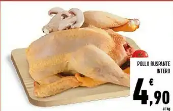 Conad Pollo Ruspante Intero offerta
