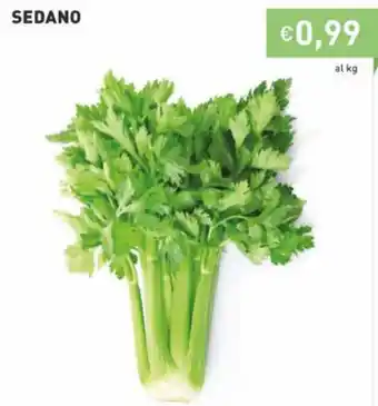 Sedano
