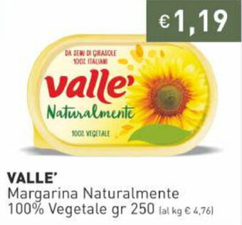 Prezzemolo e Vitale Valle' Margarina Naturalmente 100% Vegetale 250 gr offerta