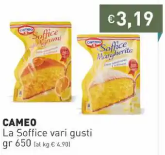Prezzemolo e Vitale Cameo La Soffice Vari Gusti 650 gr offerta