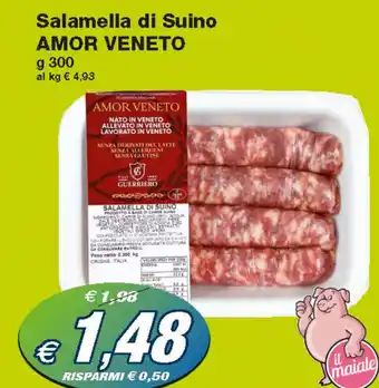Prix Quality Amor Veneto Salamella di Suino 300 g offerta