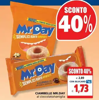 Il Gigante Mr. Day - 6 Ciambelle con Crema al Cioccolato 300 g(ml) offerta