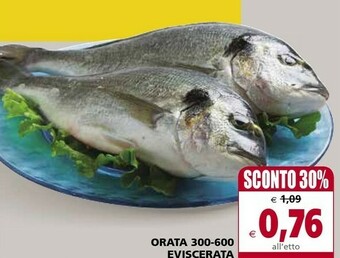 Il Gigante Orata offerta