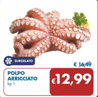 POLPO ARRICCIATO kg 1