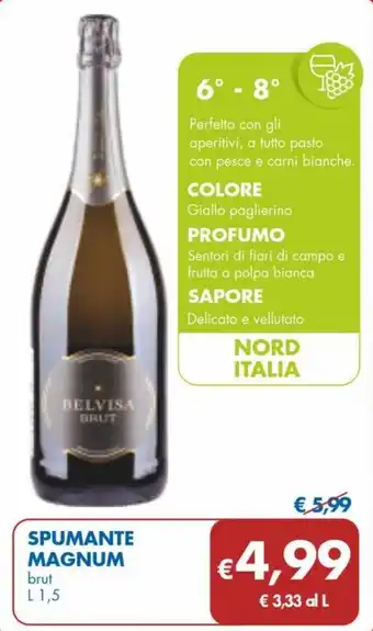 MD Discount SPUMANTE MAGNUM brut L 1,5 offerta