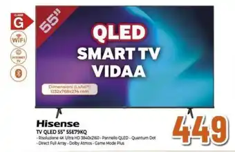 Expert Hisense TV QLED 55" 55E79KQ offerta