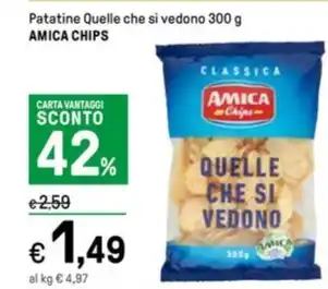 Patatine Quelle che si vedono 300 g AMICA CHIPS