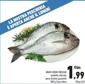 Conad Orate Medie Fresche offerta