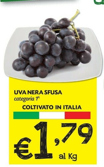 Pam Uva Nera Sfusa offerta