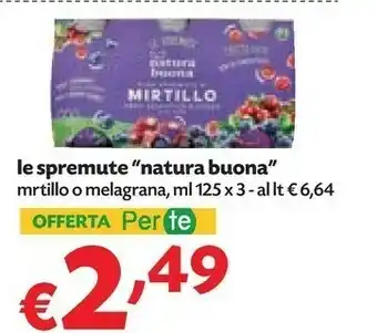 Pam Natura Buona - Succo di Mirtillo e Mela offerta