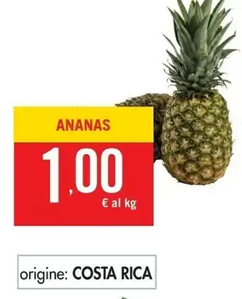Tigros Costa Ananas offerta