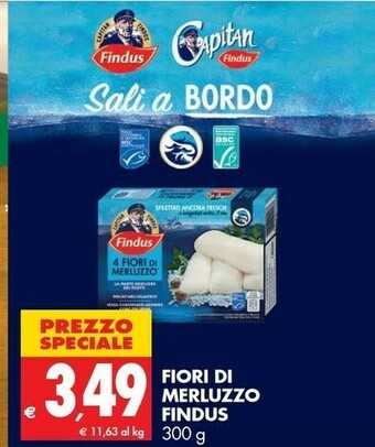 Tigros Findus Filetti di merluzzo offerta