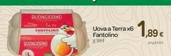 Carrefour Fantolino Uova A Terra offerta