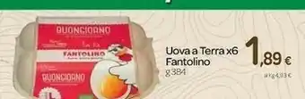 Carrefour Fantolino Uova A Terra offerta