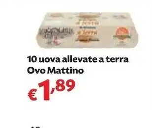Pam Ovo mattino 10 Uova Allevate A Terra offerta