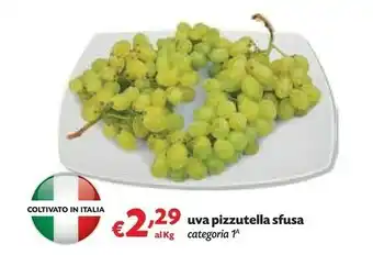 Pam Uva Pizzutella Sfusa offerta