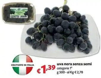 Pam Uva Nera Senza Semi offerta