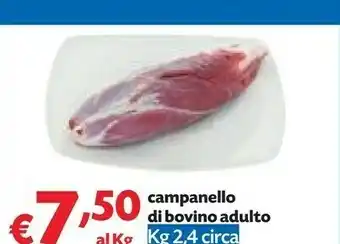 Pam Campanello Di Bovino Adulto offerta