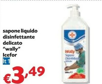 Pam Sapone Liquido Disinfettante Delicato Wally Icefor offerta