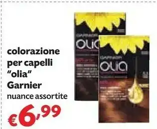 Pam Garnier Colorazione Per Capelli Olia offerta