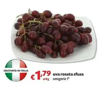 Pam Uva Rosata Sfusa offerta