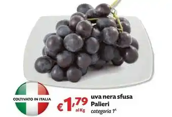 Pam Uva Nera Sfusa Palieri offerta