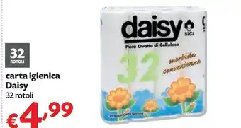 Pam Daisy Carta Igienica 32 Rotoli offerta