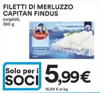 Ipercoop FILETTI DI MERLUZZO CAPITAN FINDUS surgelati, 360 g offerta