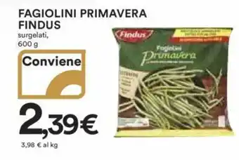 Ipercoop FAGIOLINI PRIMAVERA FINDUS surgelati, 600 g offerta
