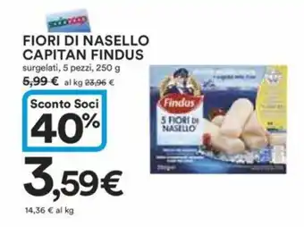 Ipercoop FIORI DI NASELLO CAPITAN FINDUS surgelati, 5 pezzi, 250 g offerta