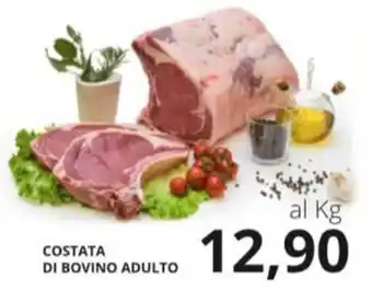 Supermercati Visotto COSTATA DI BOVINO ADULTO offerta