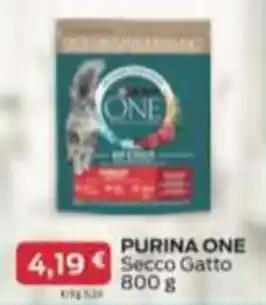 Supermercati Visotto PURINA ONE Secco Gatto 800 g offerta