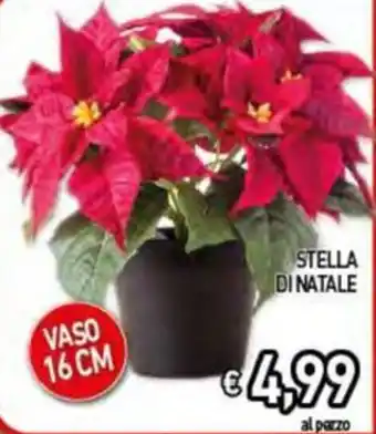 STELLA DI NATALE VASO 16 CM