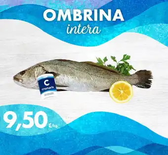 Iper Tosano OMBRINA intera offerta