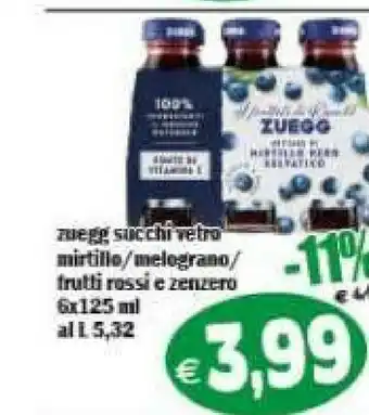 Gros Succhi di frutta offerta