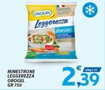 MINESTRONE LEGGEREZZA OROGEL GR 750