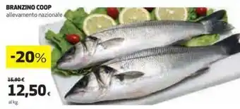 Coop BRANZINO COOP allevamento nazionale offerta